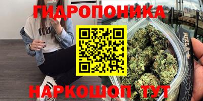 a pvp Апрелевка