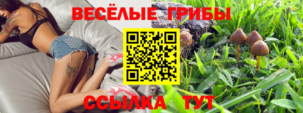 Галлюциногенные грибы мухоморы Воронеж