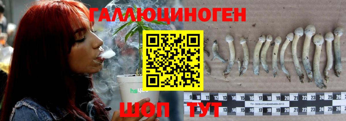 Воронеж  Галлюциногенные грибы прущие грибы  Вход с VPN 